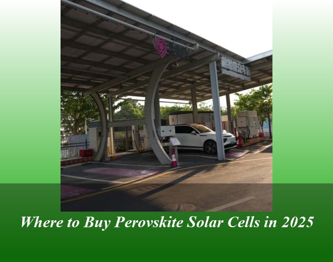 Where to Buy Perovskite Solar Cells in 2025